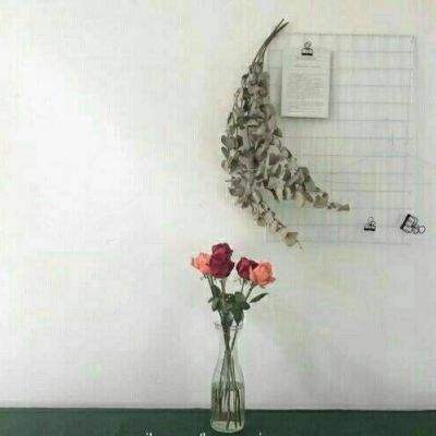 境界灵压对决qq登录版下载